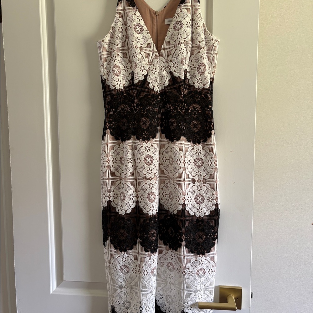 Dress the Population Two-Tone Lace Midi Dress in White and Black